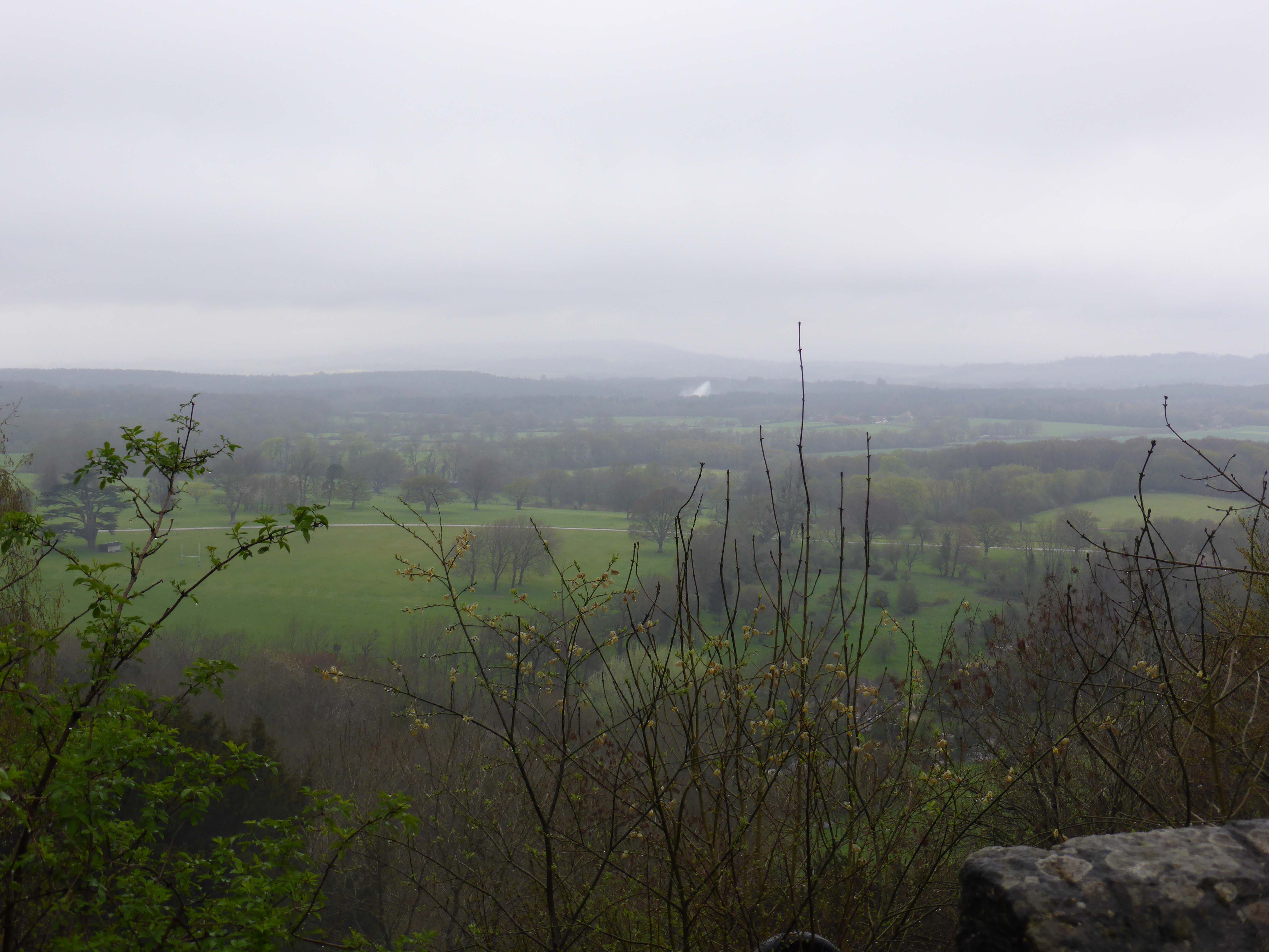 Duncton View