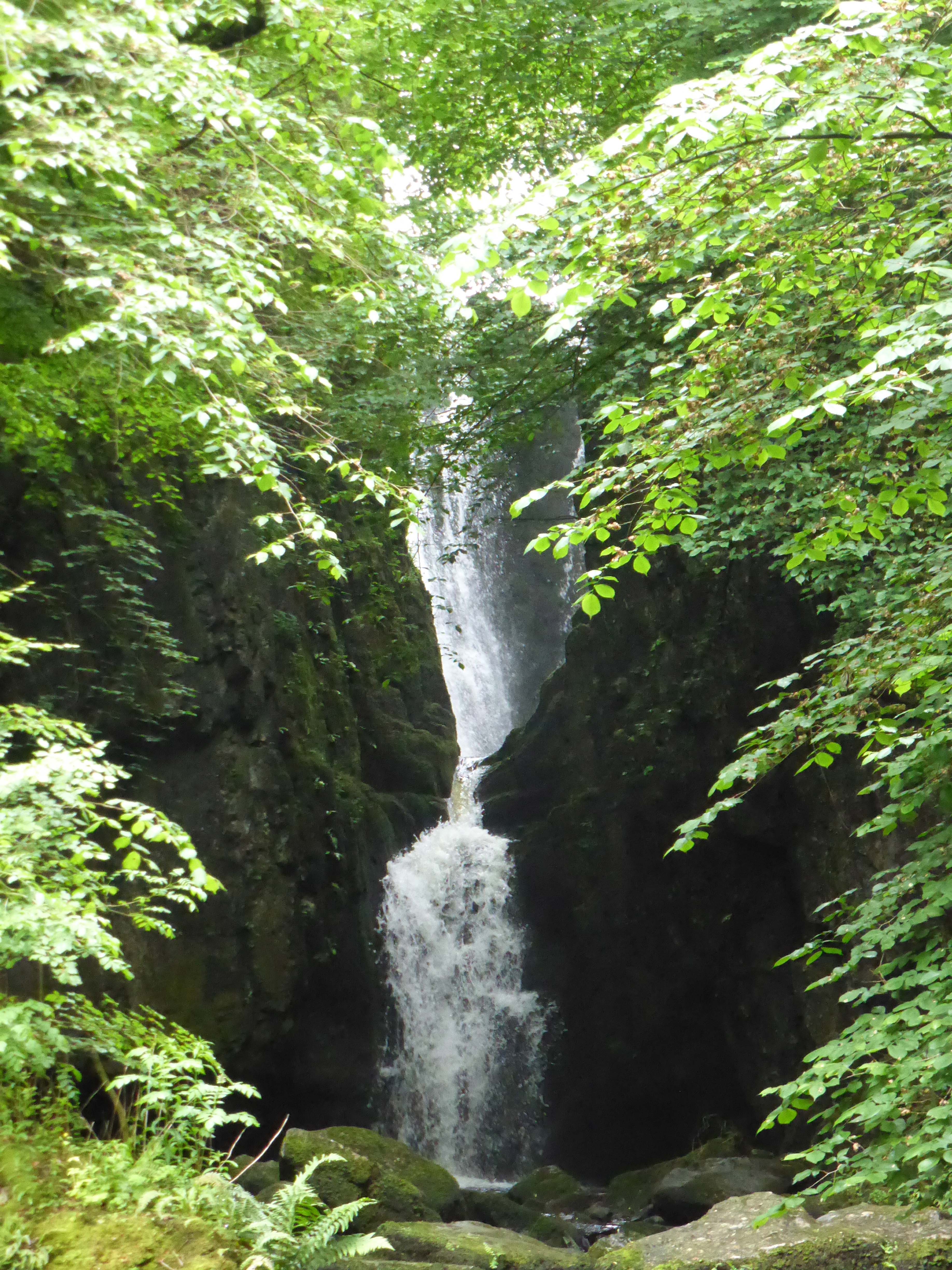 Catrigg Force