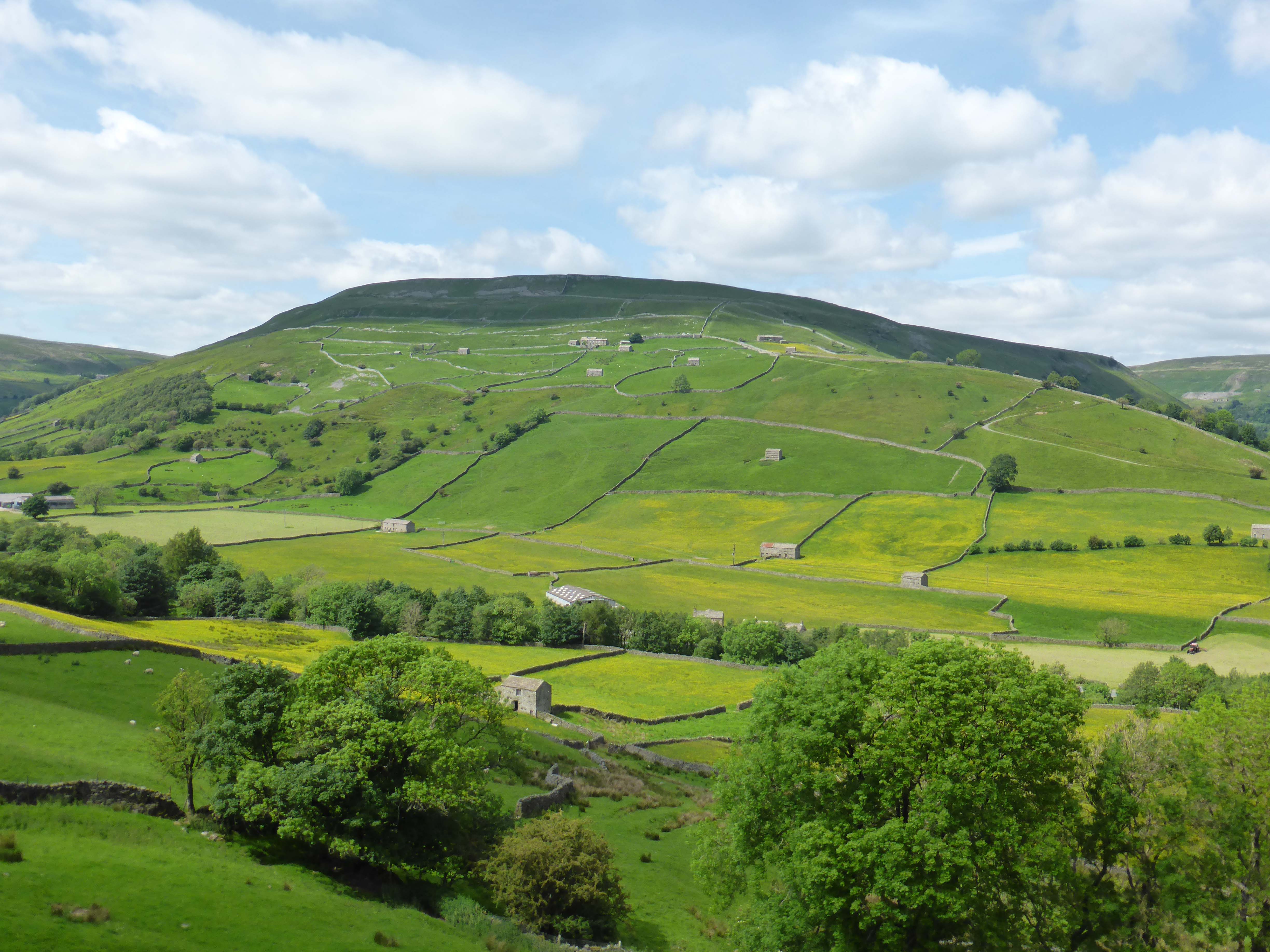 A Cracking Bit Of Swaledale Gromit