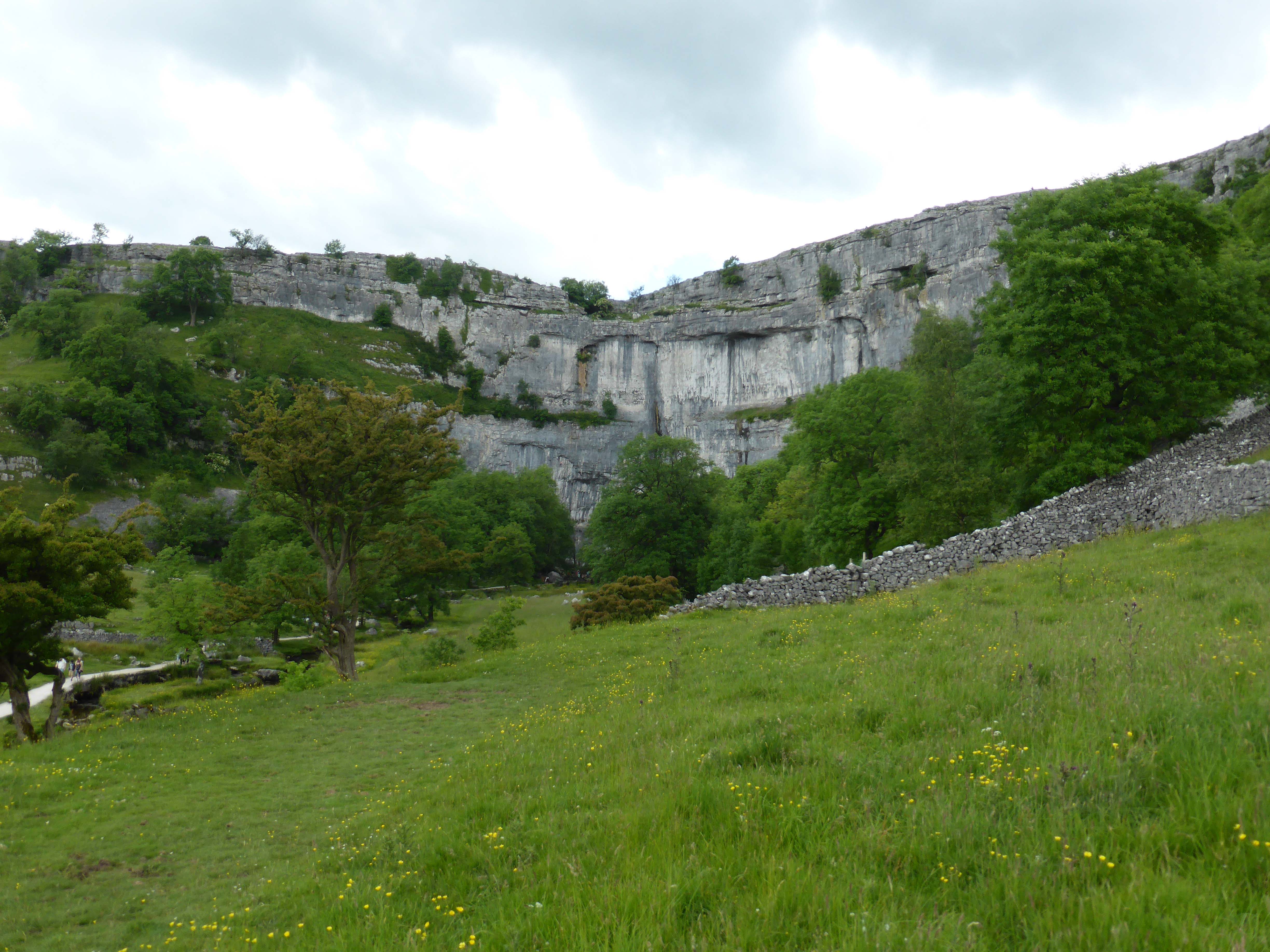 Peregrines at Malham Cove