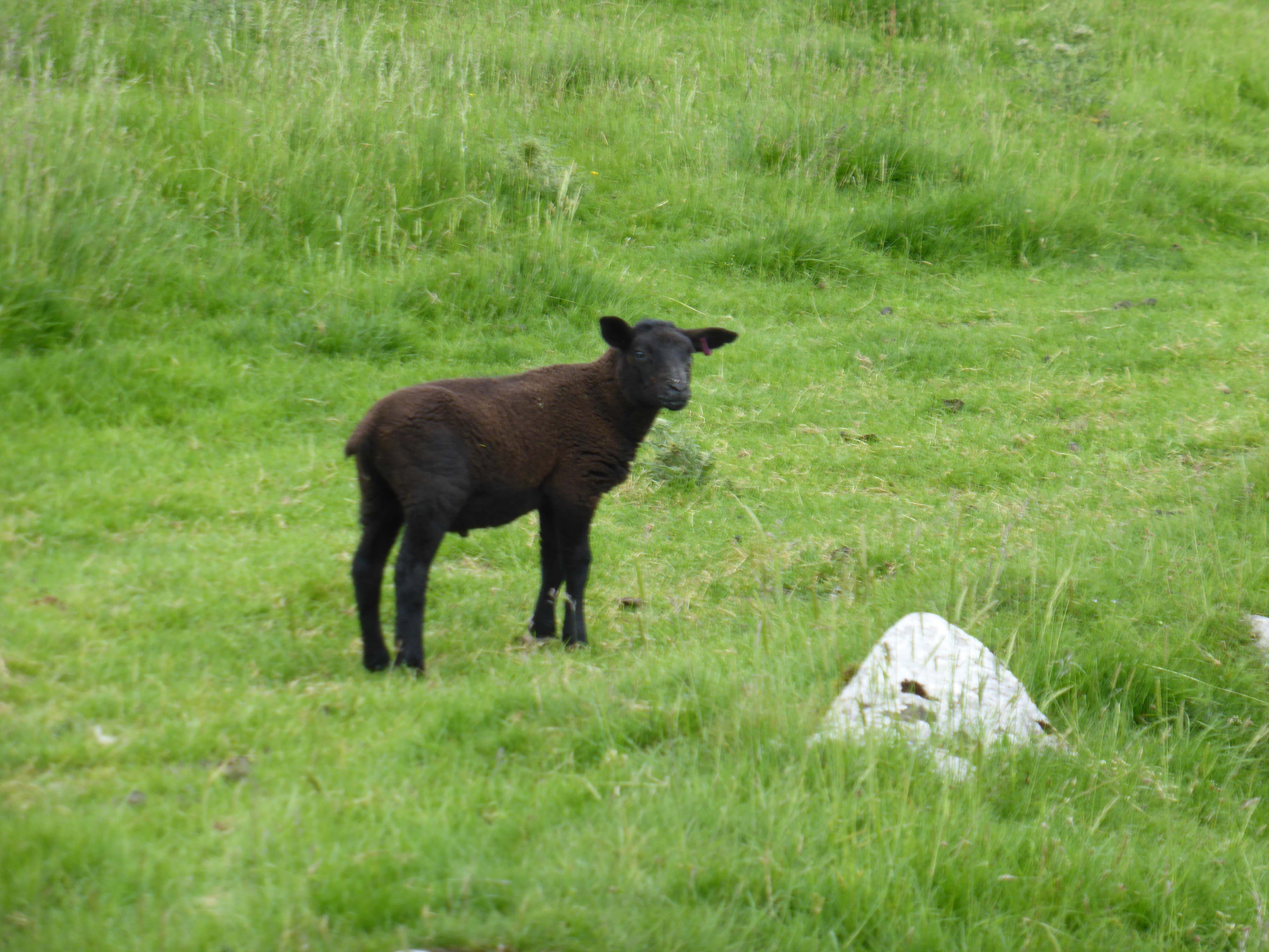 Leaving The Dales