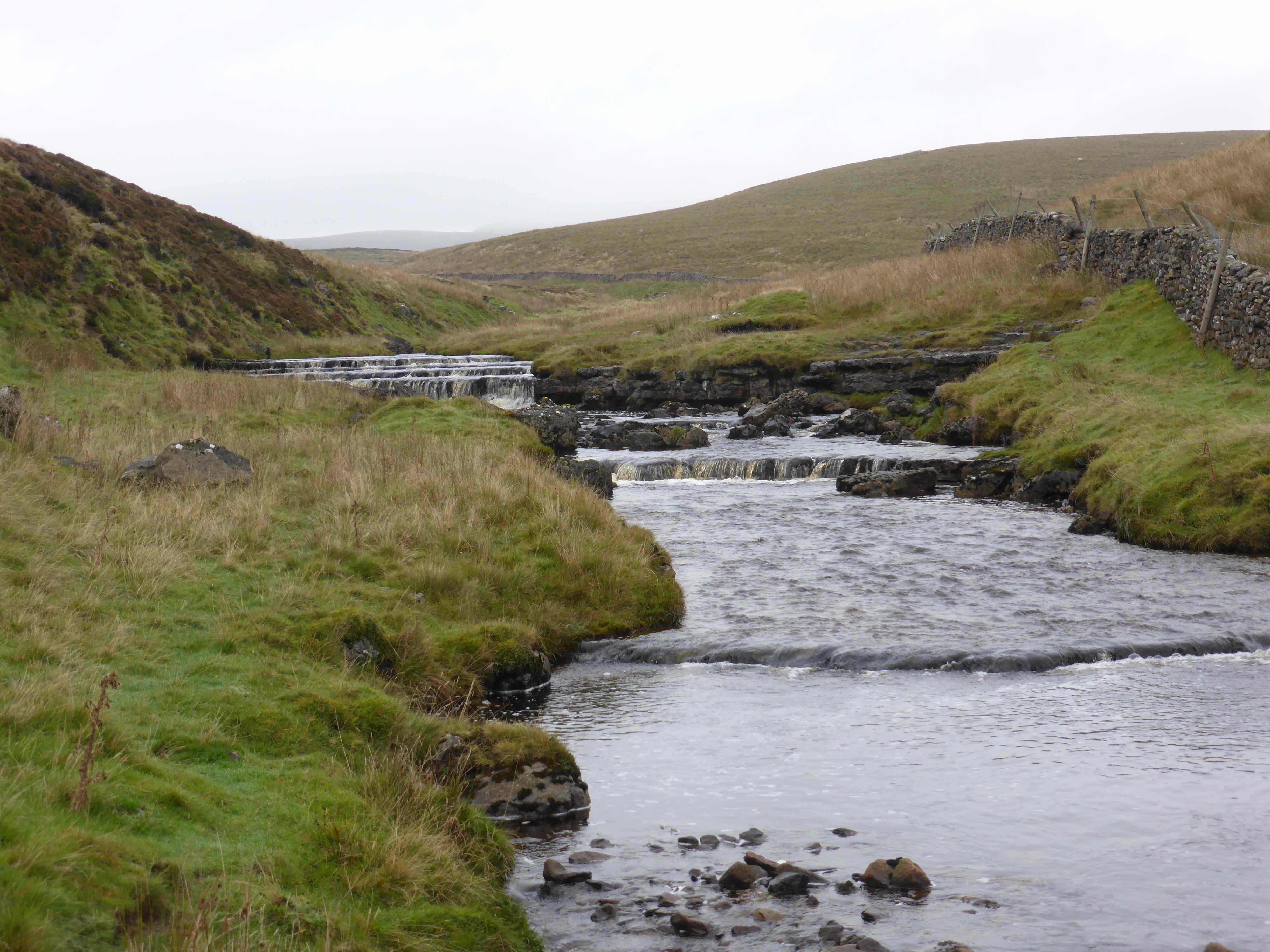 Boggy Walking