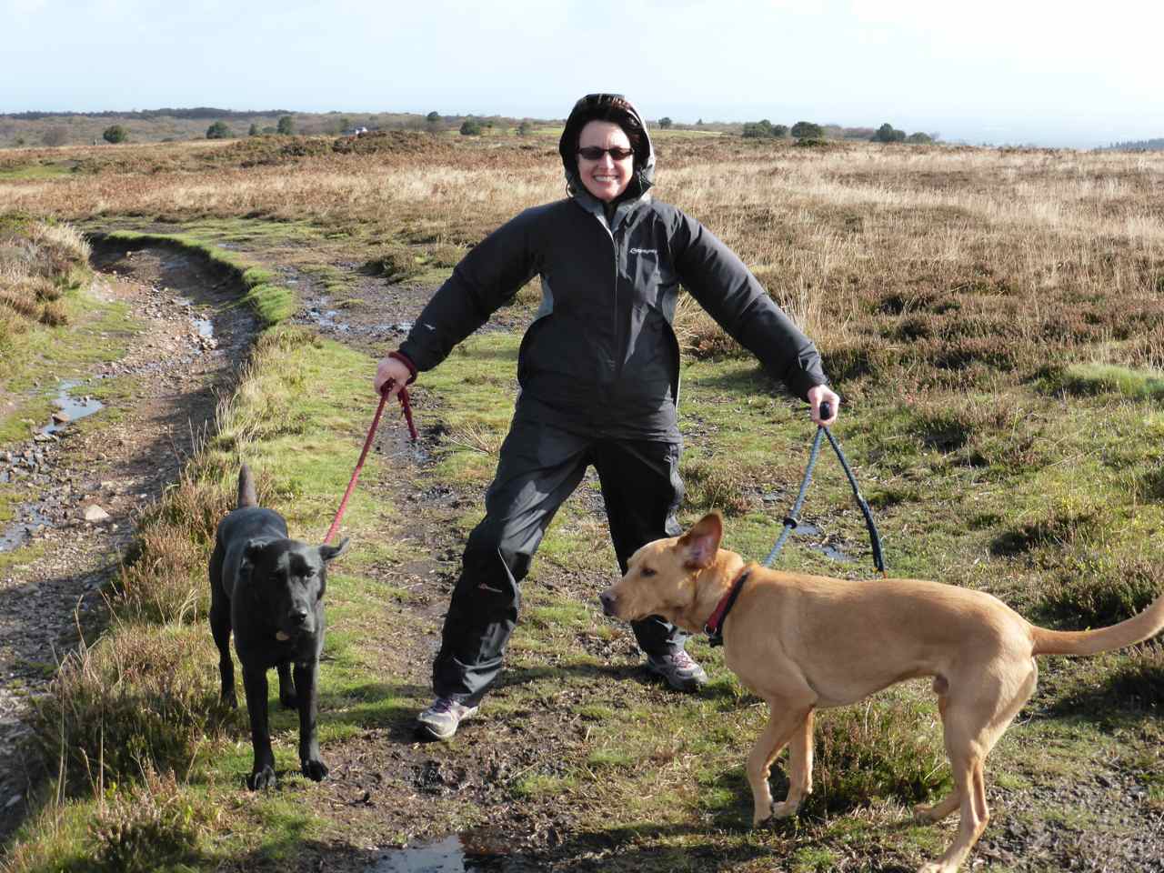 Blowing Out The Cobwebs!