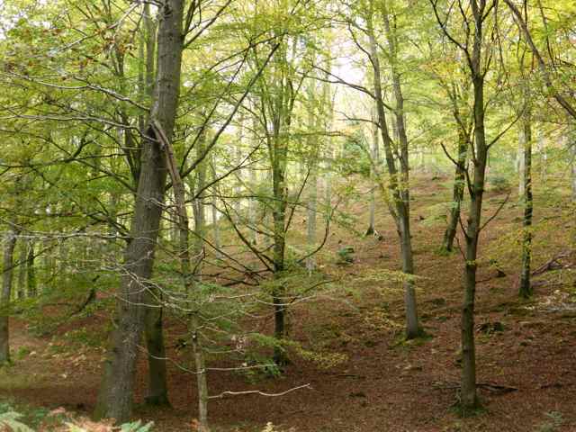 Signs Of Autumn!