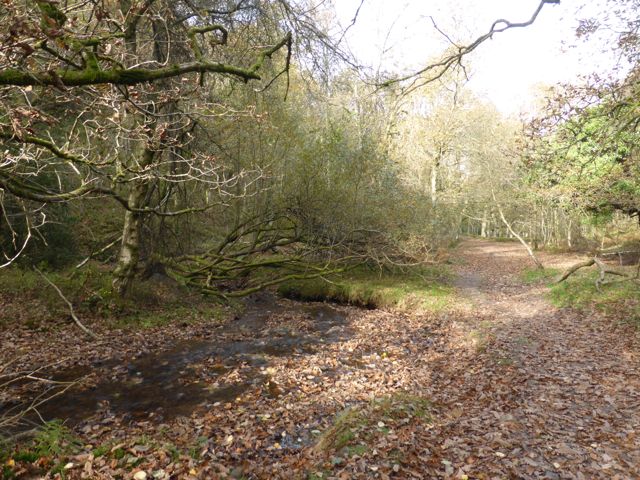 Back on the Quantock Hills