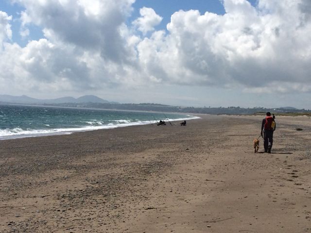 Following the Llyn Coastal Path