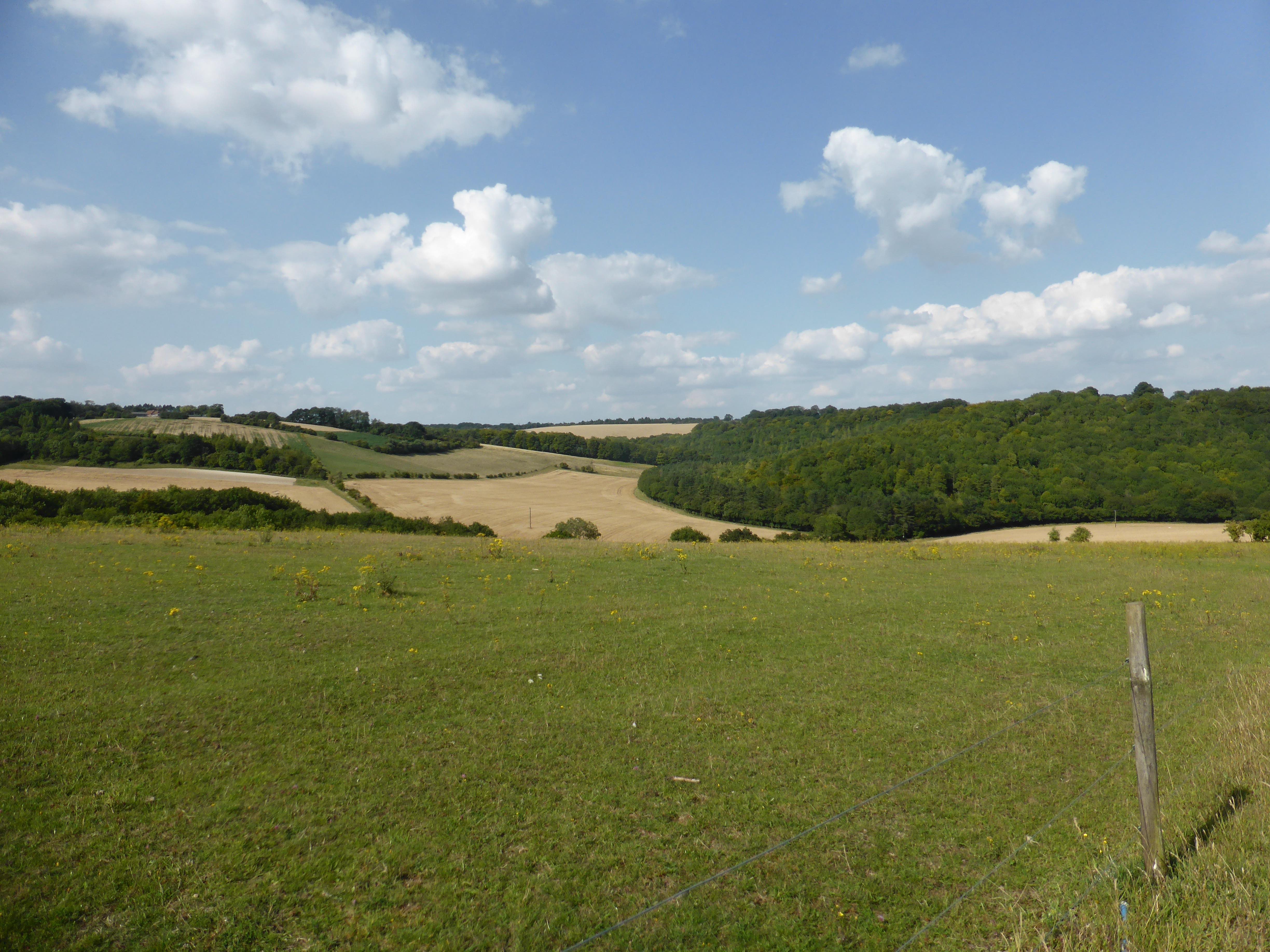 Return to Cholsey Grange