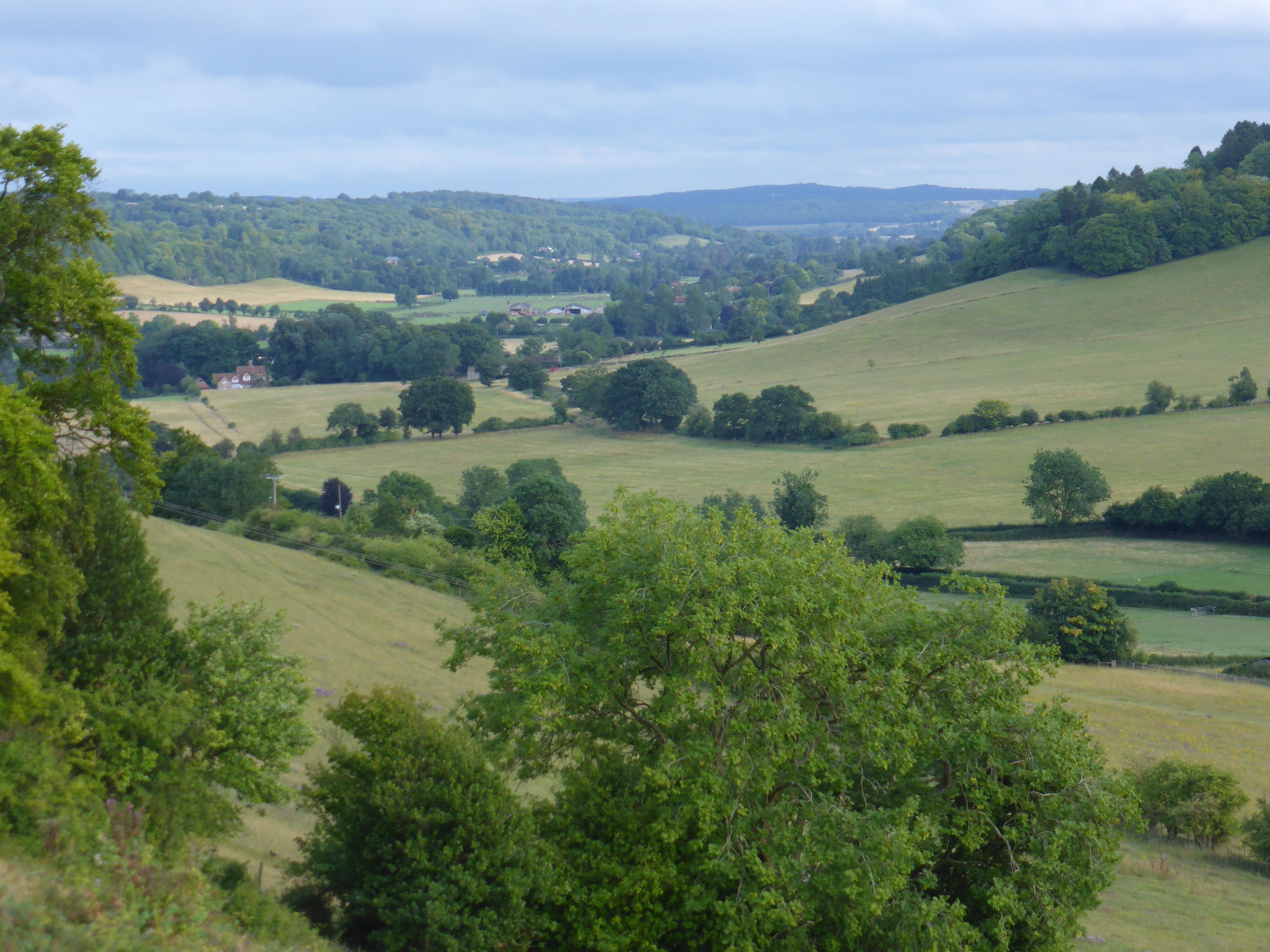 A Walk Over Turville Down
