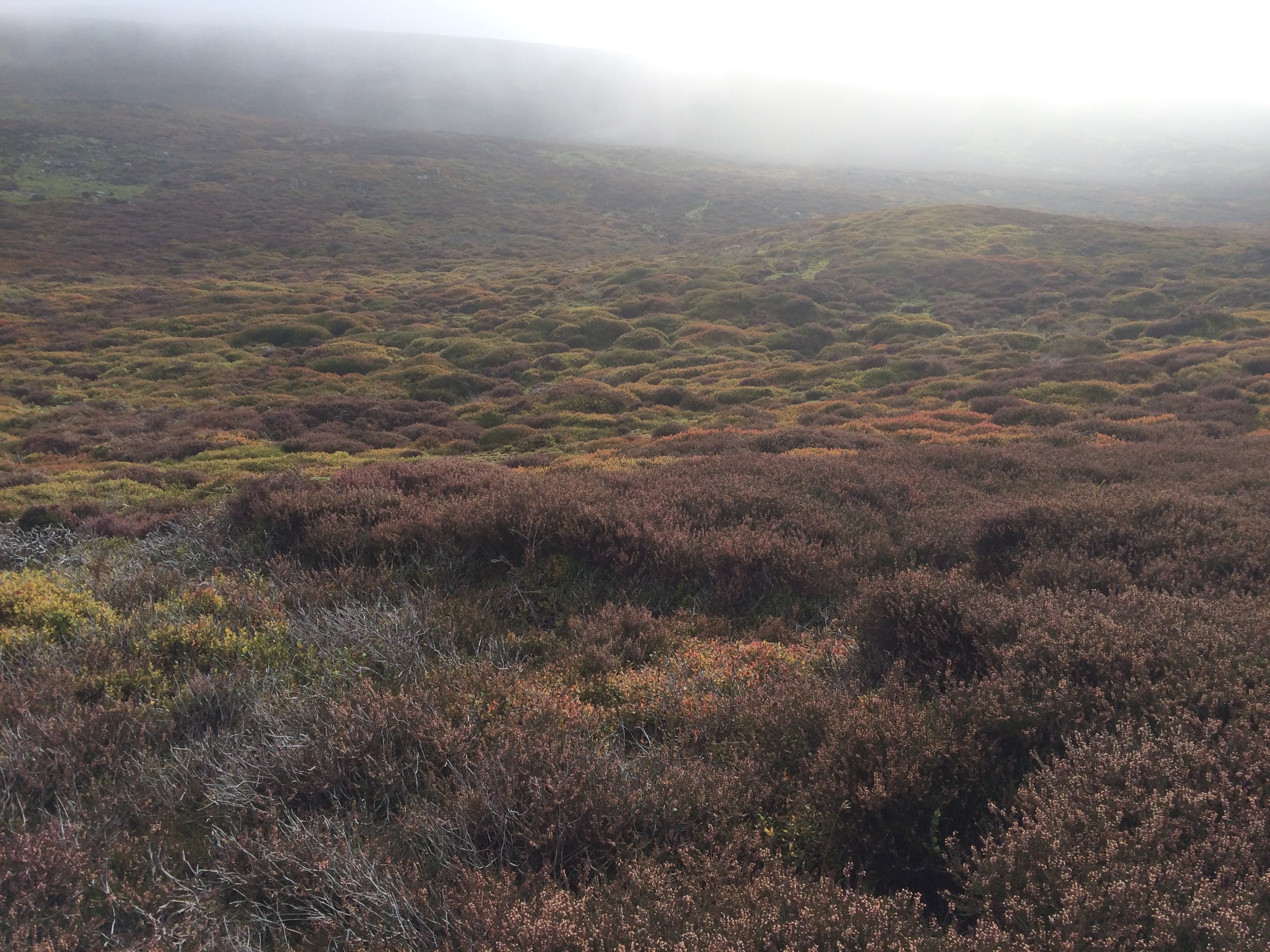 From Reeth to Maiden Castle and Grinton