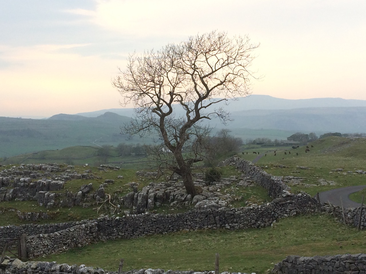 Settle to Winskill Stones