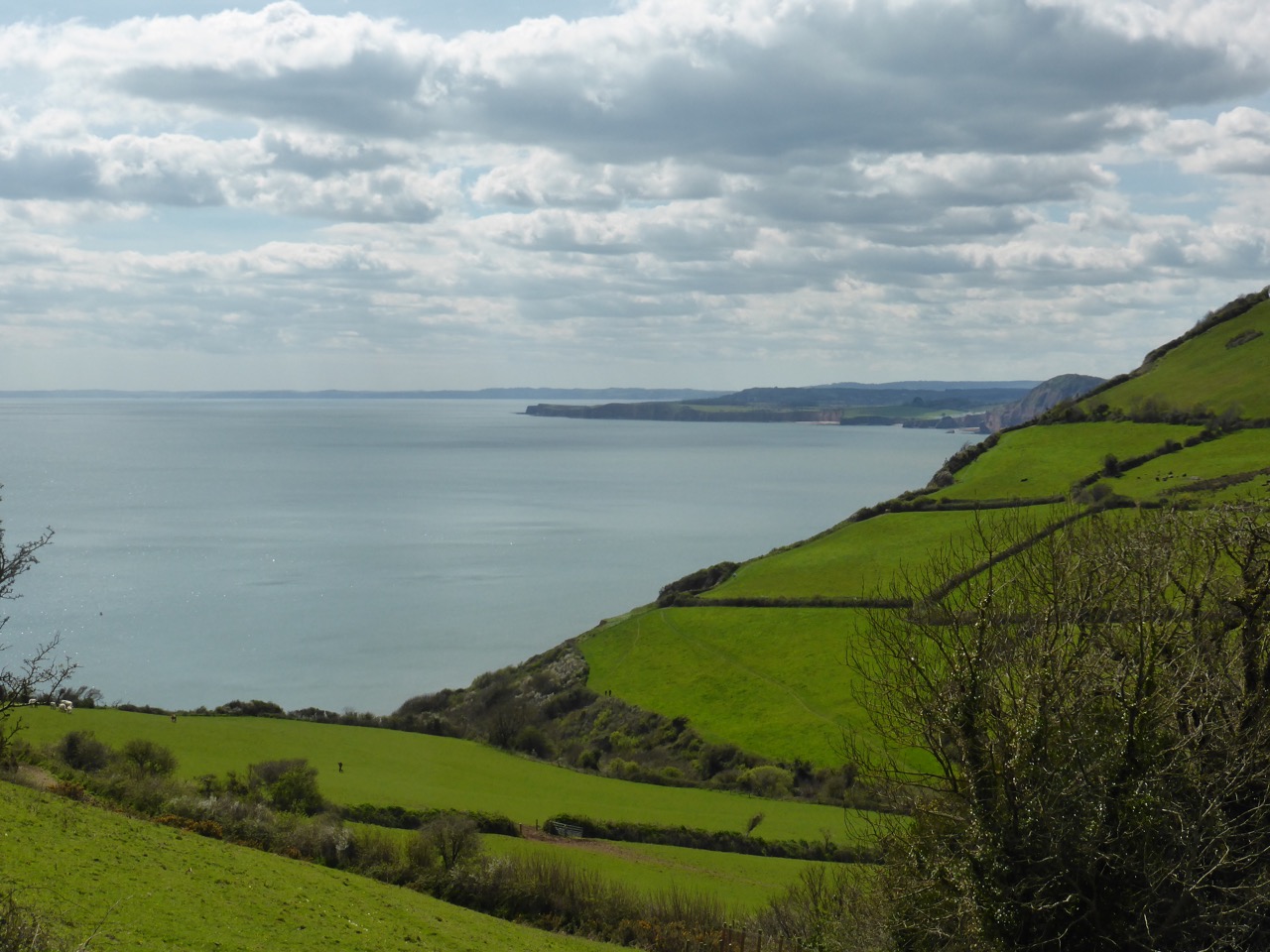 Sidmouth to Weston Mouth