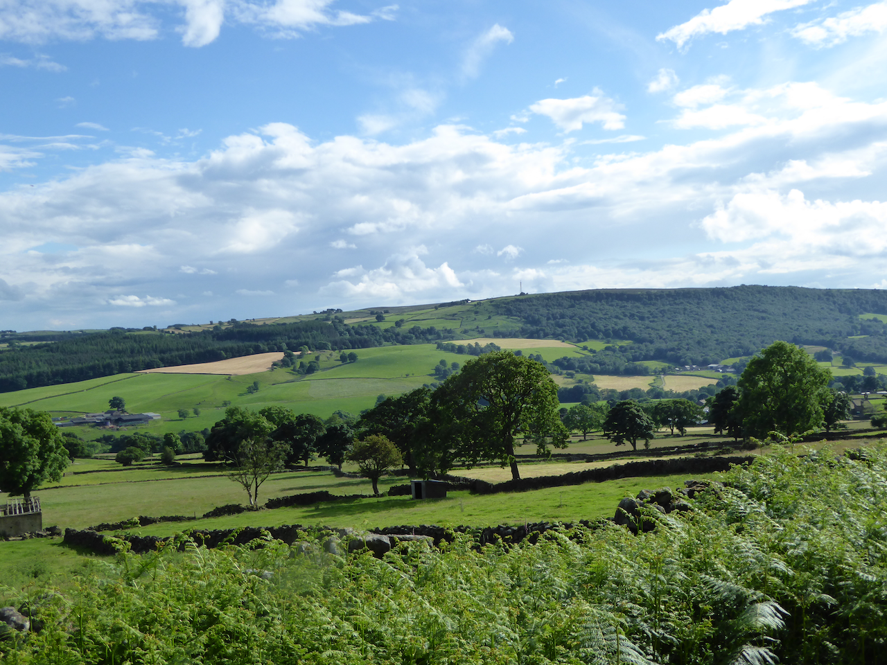 A Circular Walk From Pateley Bridge