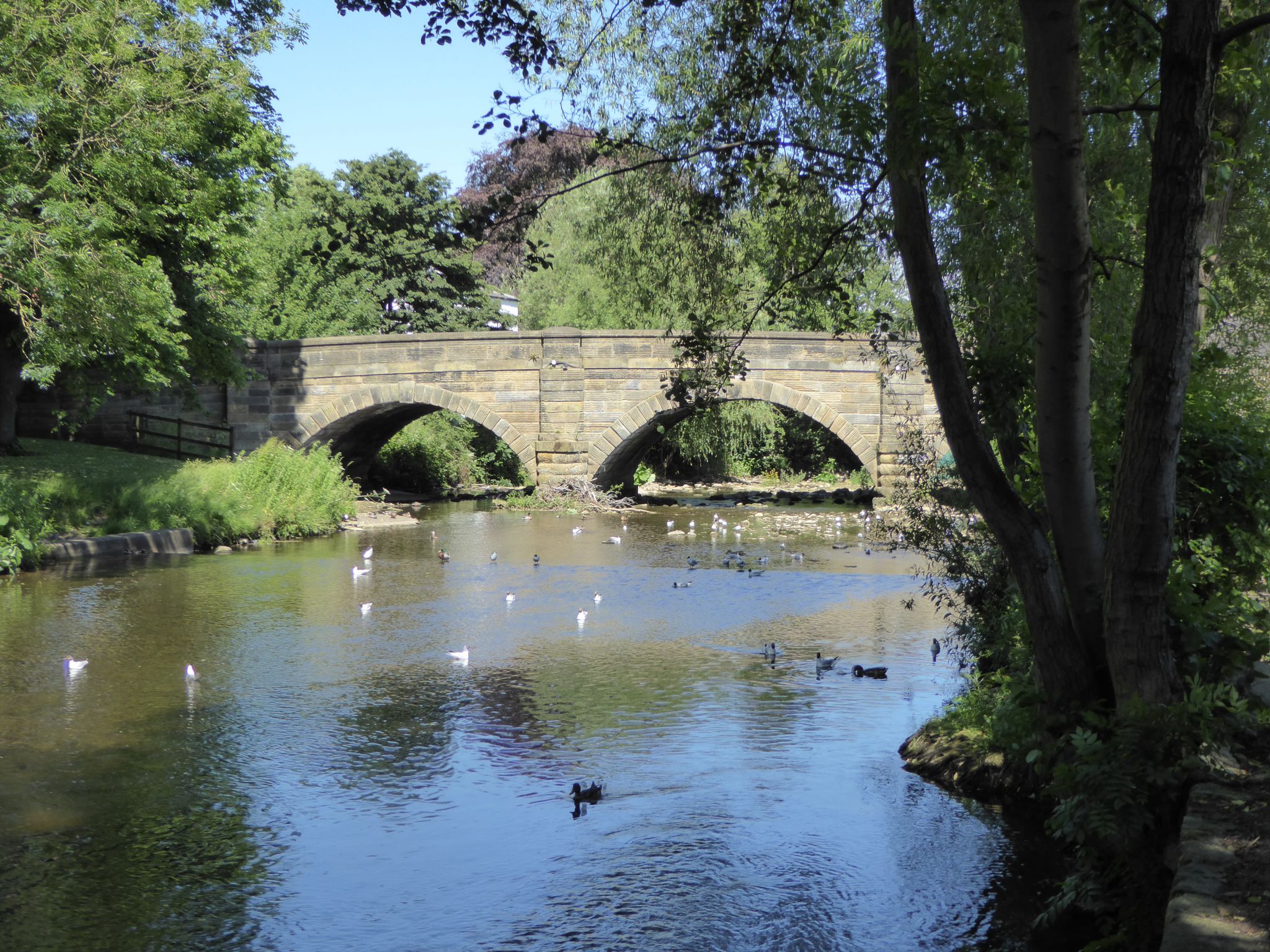 A Wander Around Ripon