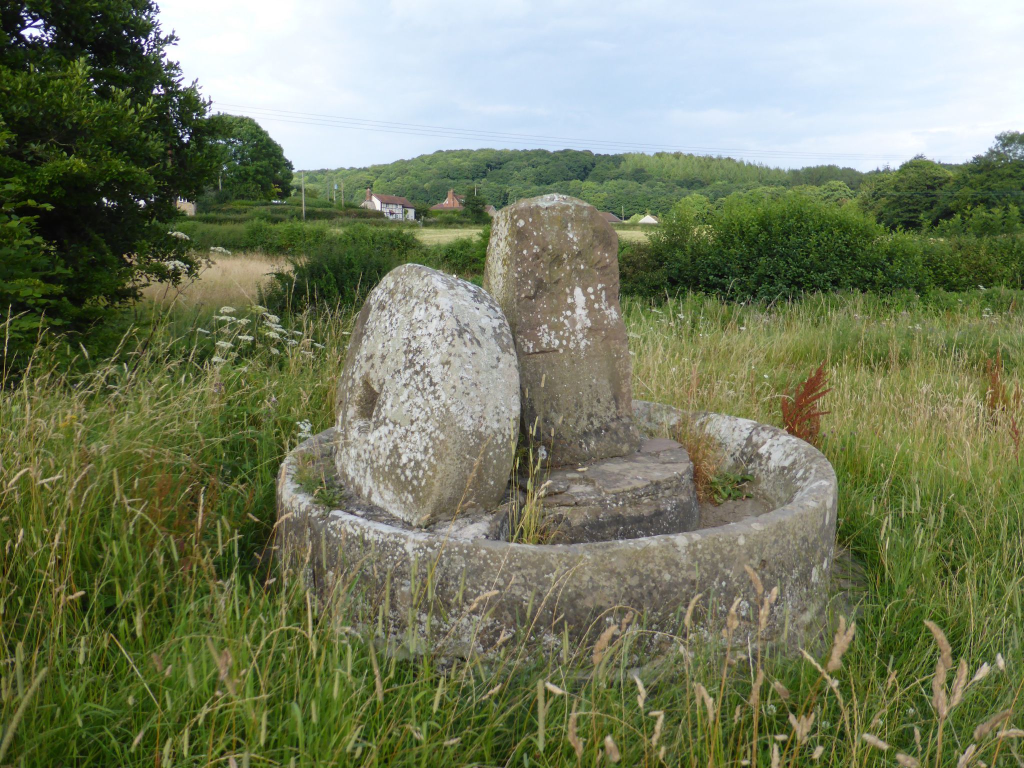Mordiford and Haugh Woods