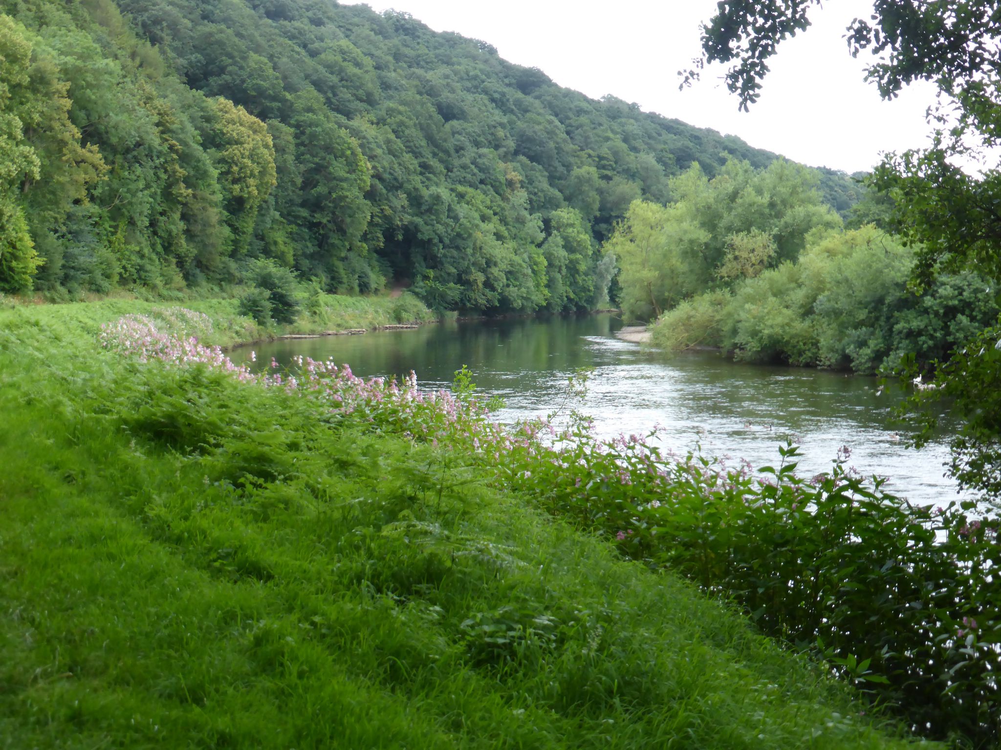 Fownhope, Capler Camp and Paget’s Wood