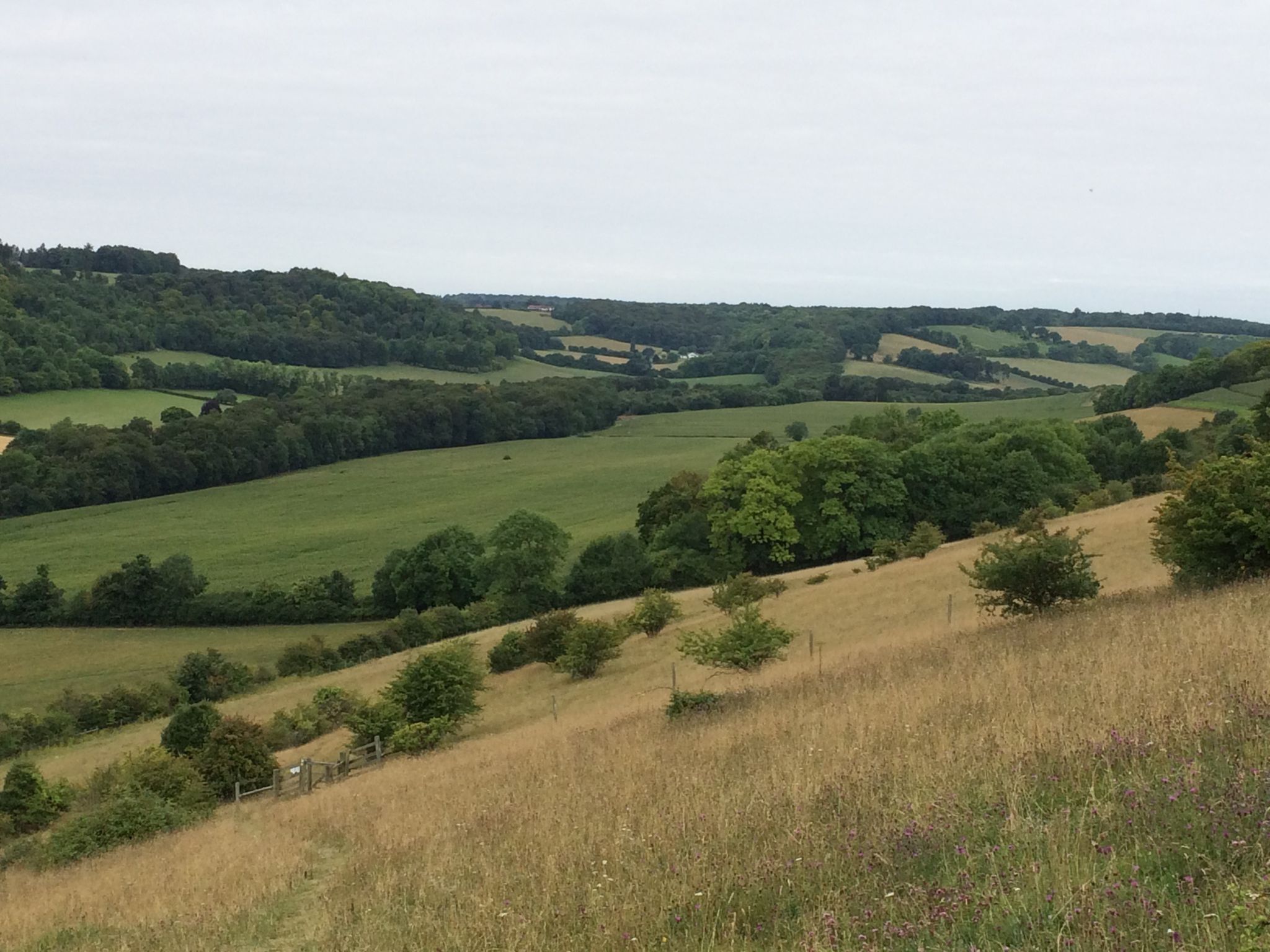 A Cracking Six Mile Walk from Cholsey Grange CL