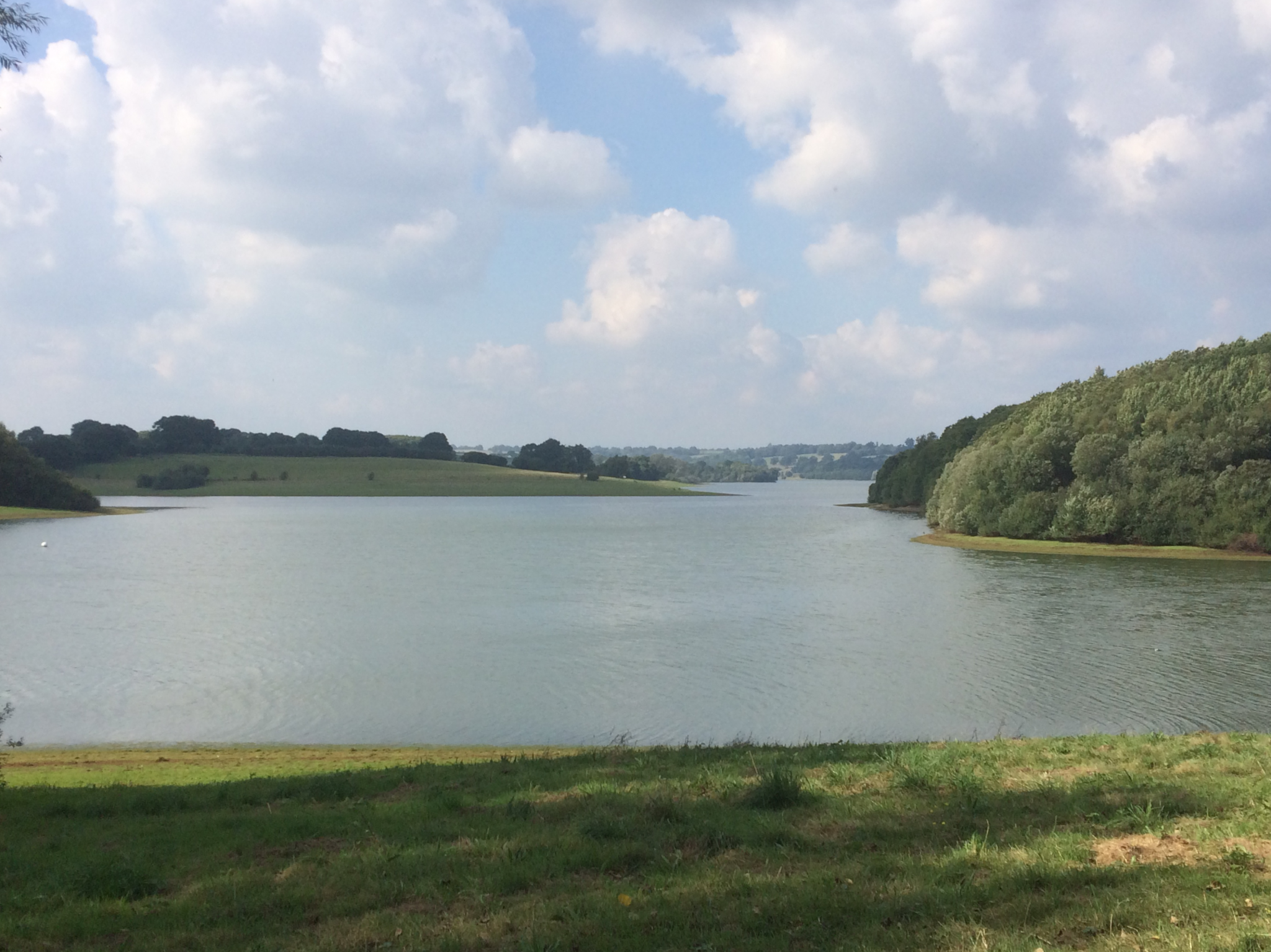 A Walk Around Bewl Water