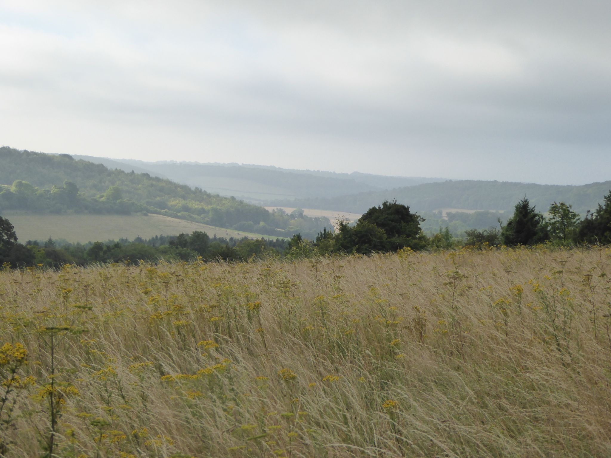 Two Short Walks from Cholsey Grange