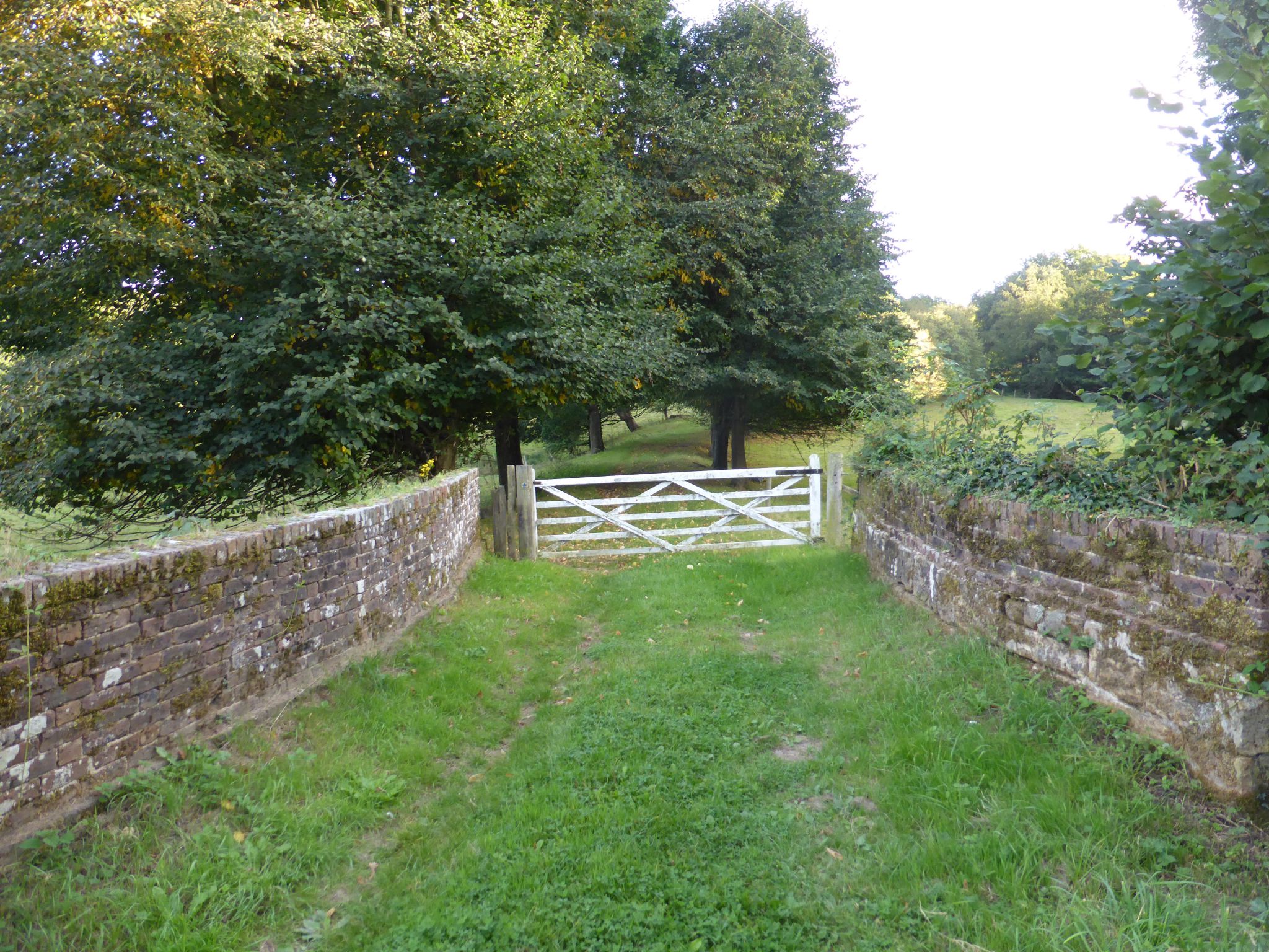 Walking to Wadhurst