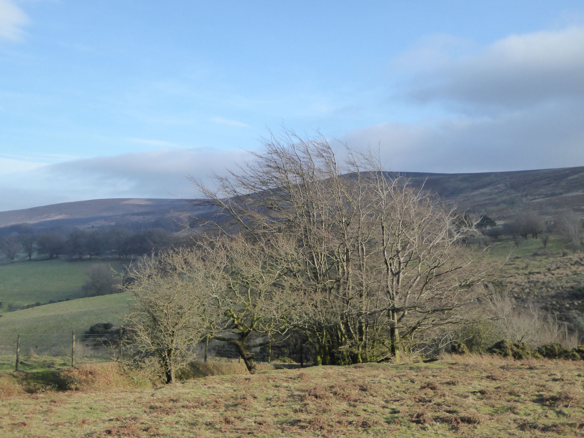 Up Dunkery Hill