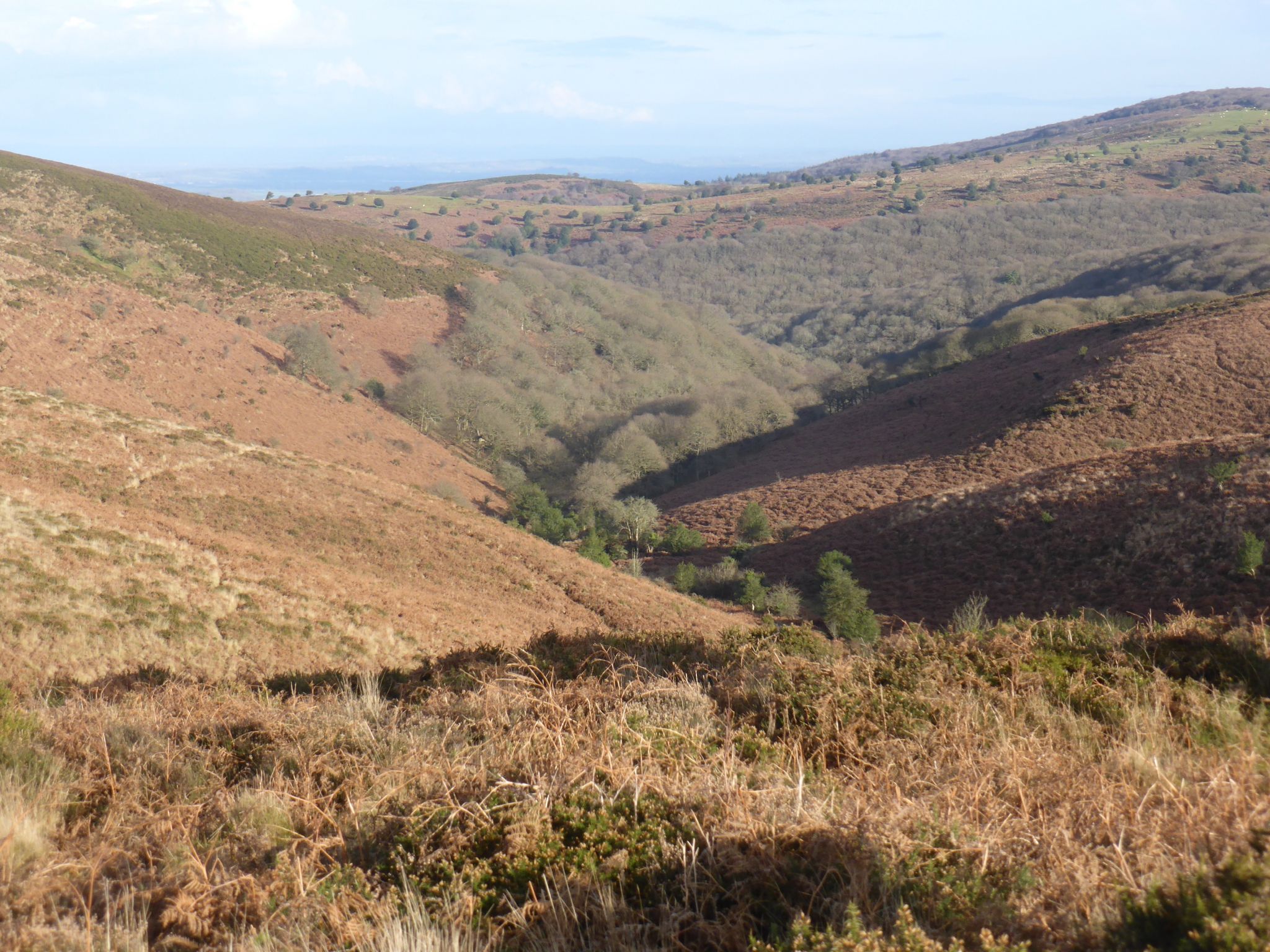 Back on the Quantock Hills