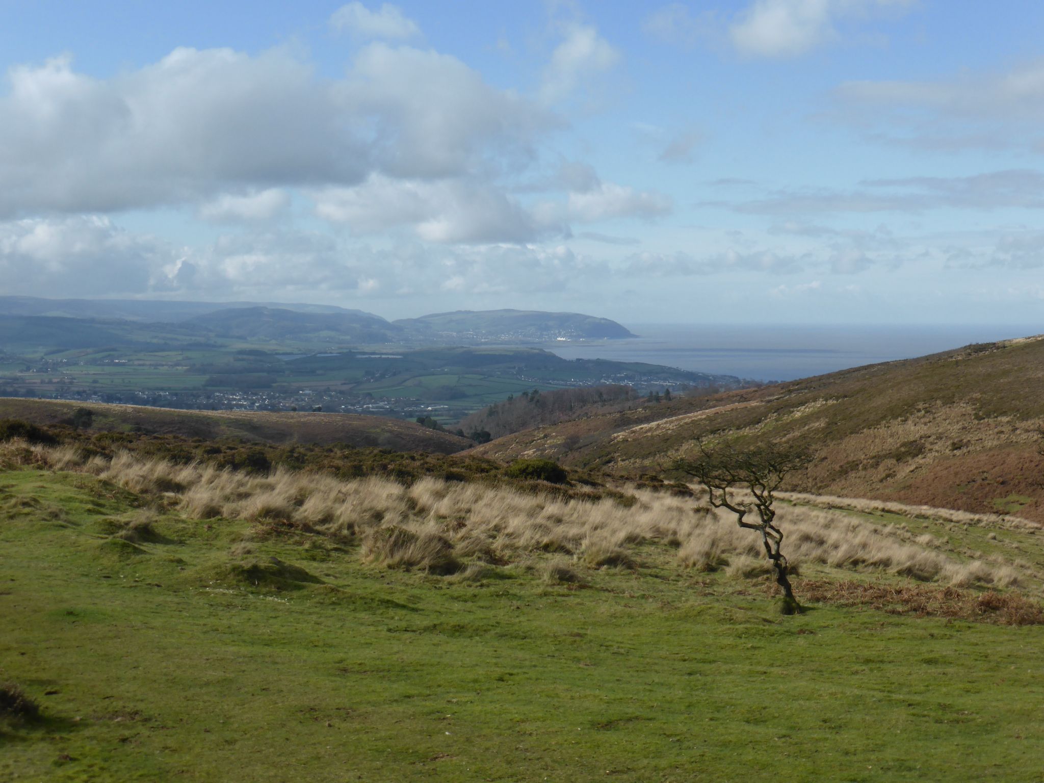 A Jamabout on the Quantocks