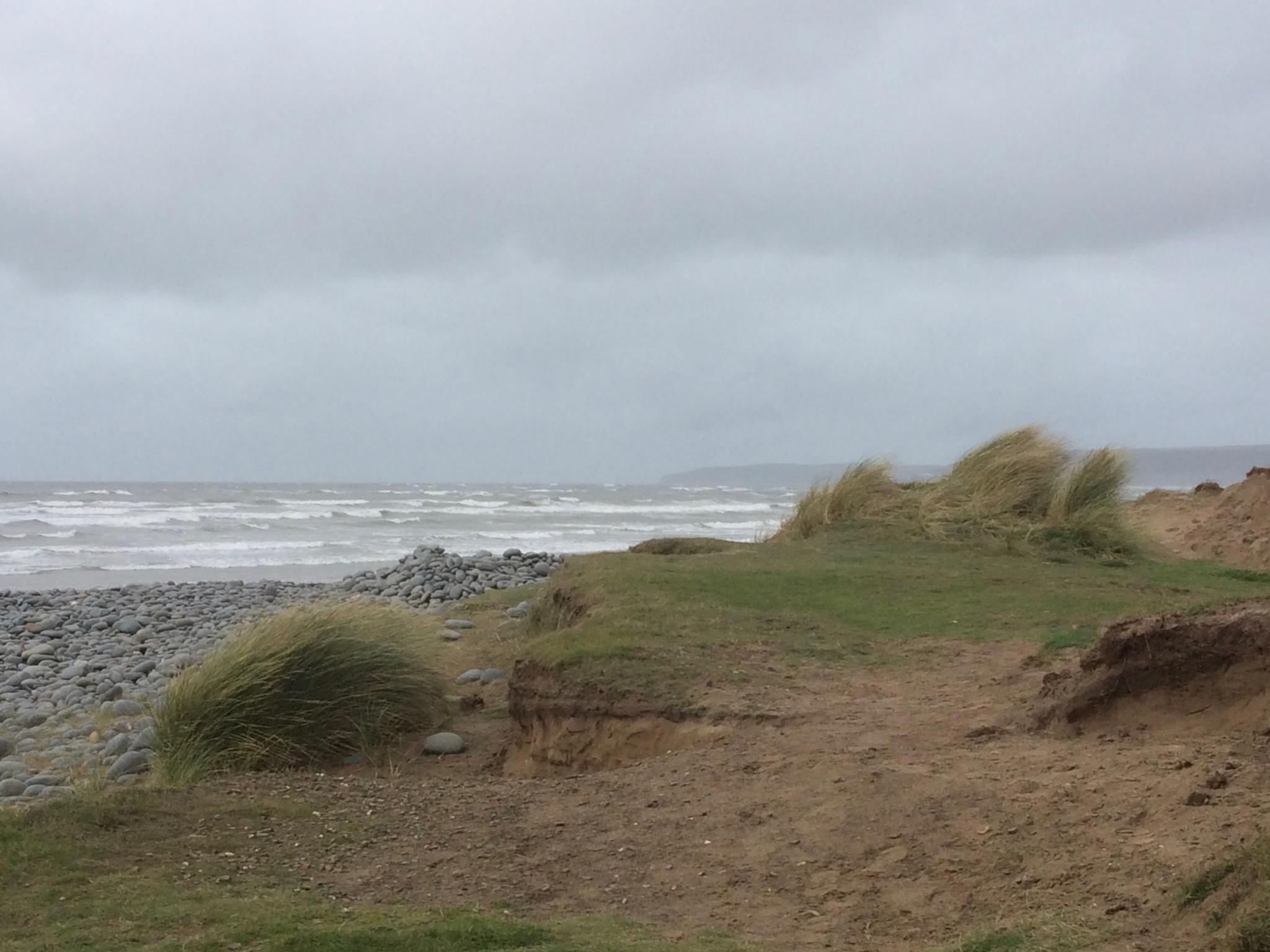Blown Around The Burrows