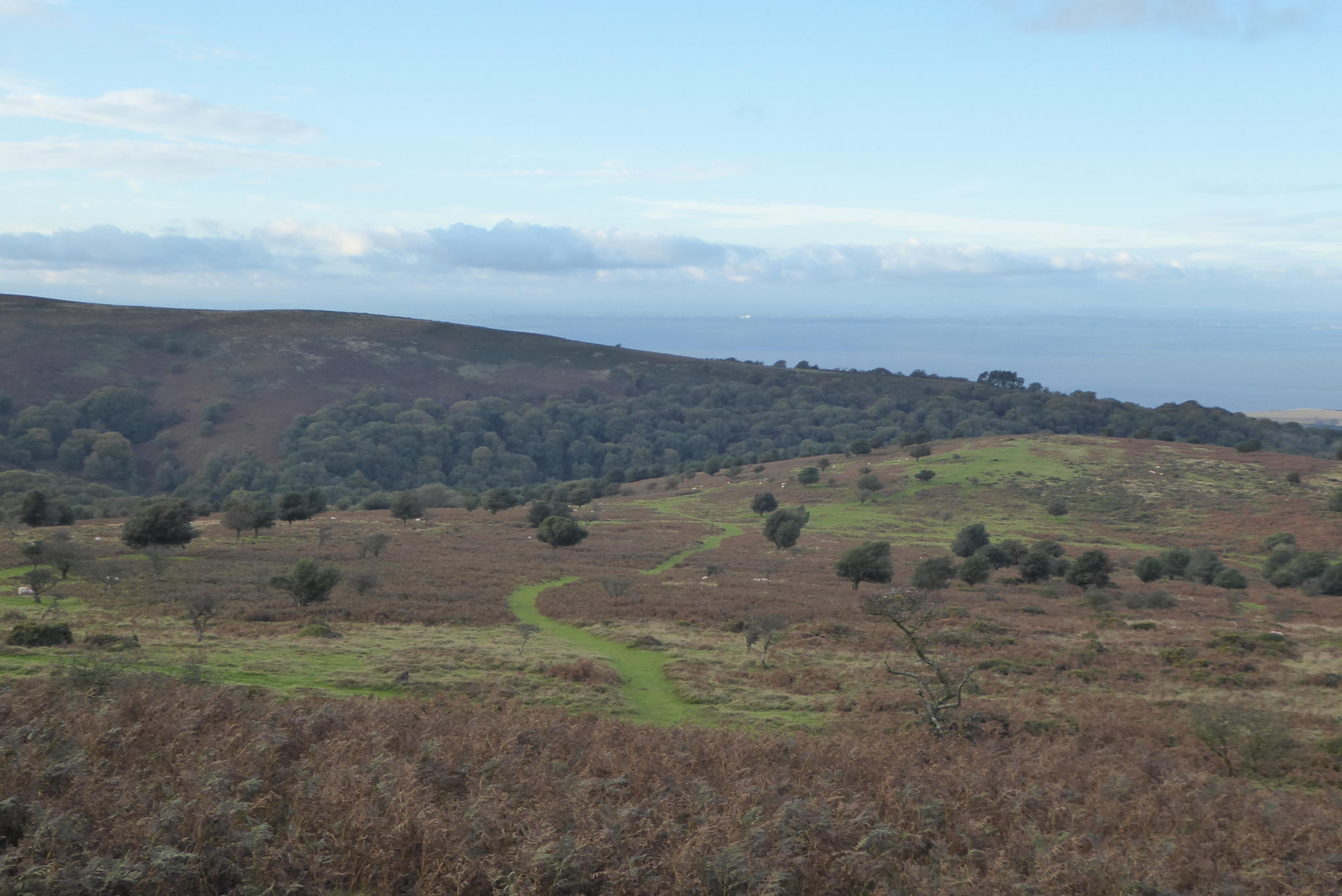 Returning to the Quantock Hills