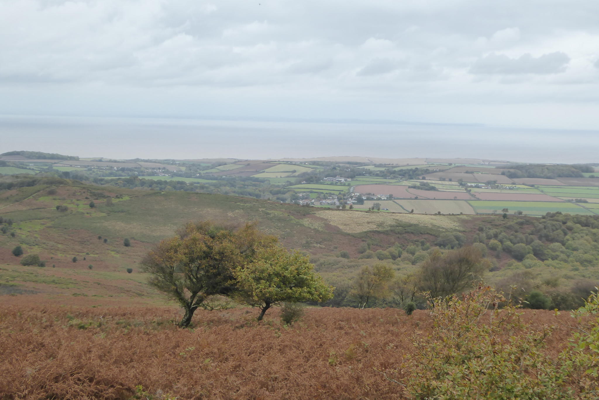 A Short Loop Over Dowsborough Hillfort