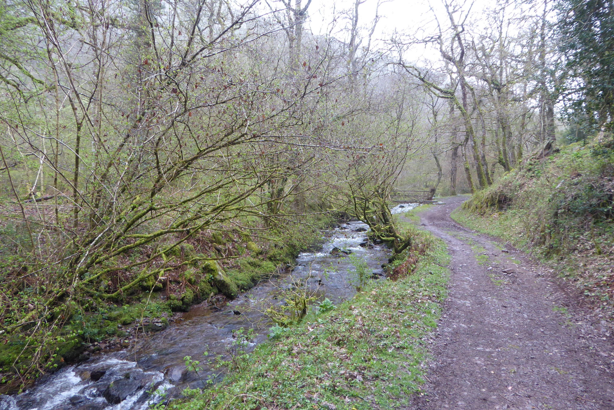 A Circuit from Horner to Dunkery Beacon