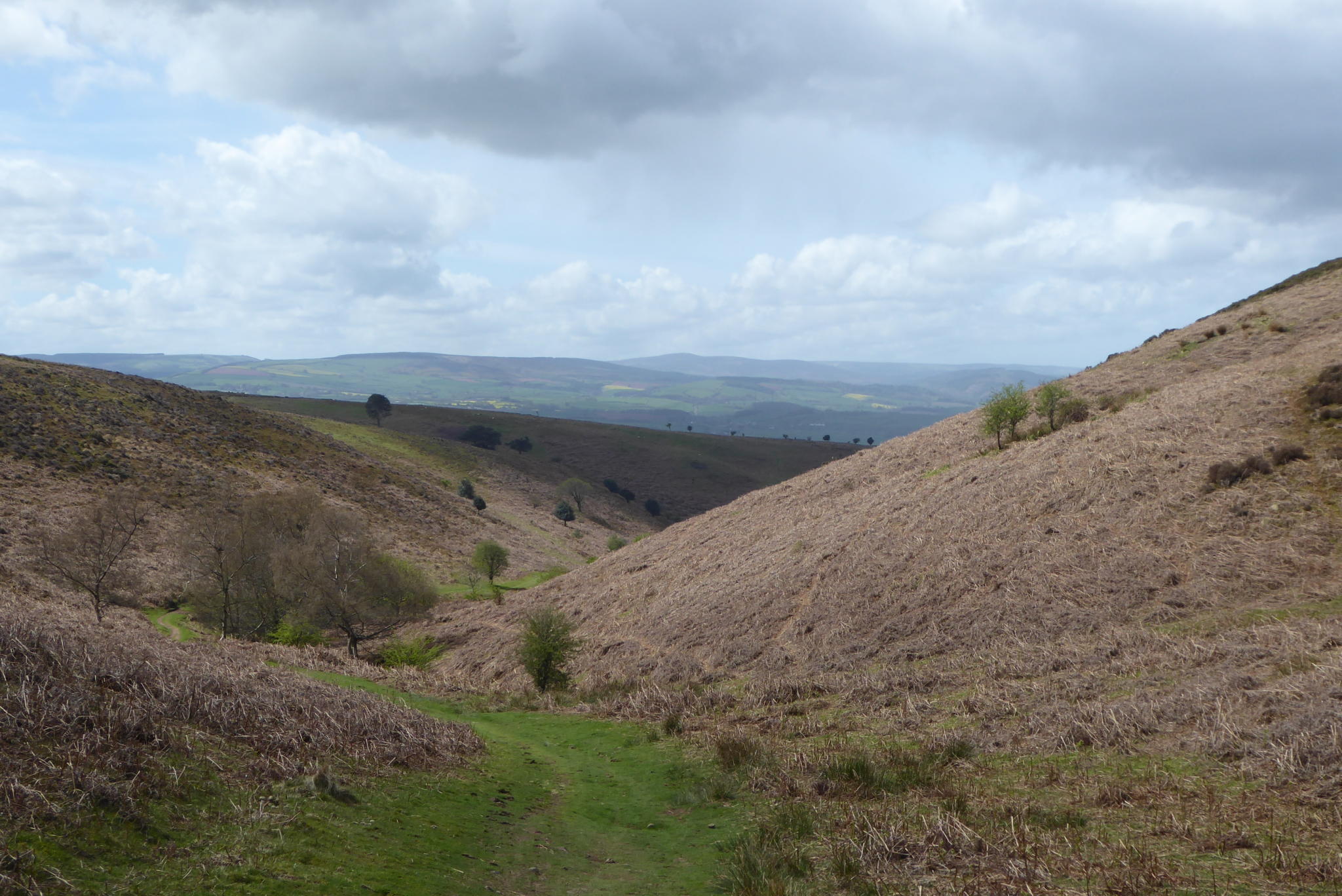 A Cracking Jamabout on the Quantock Hills