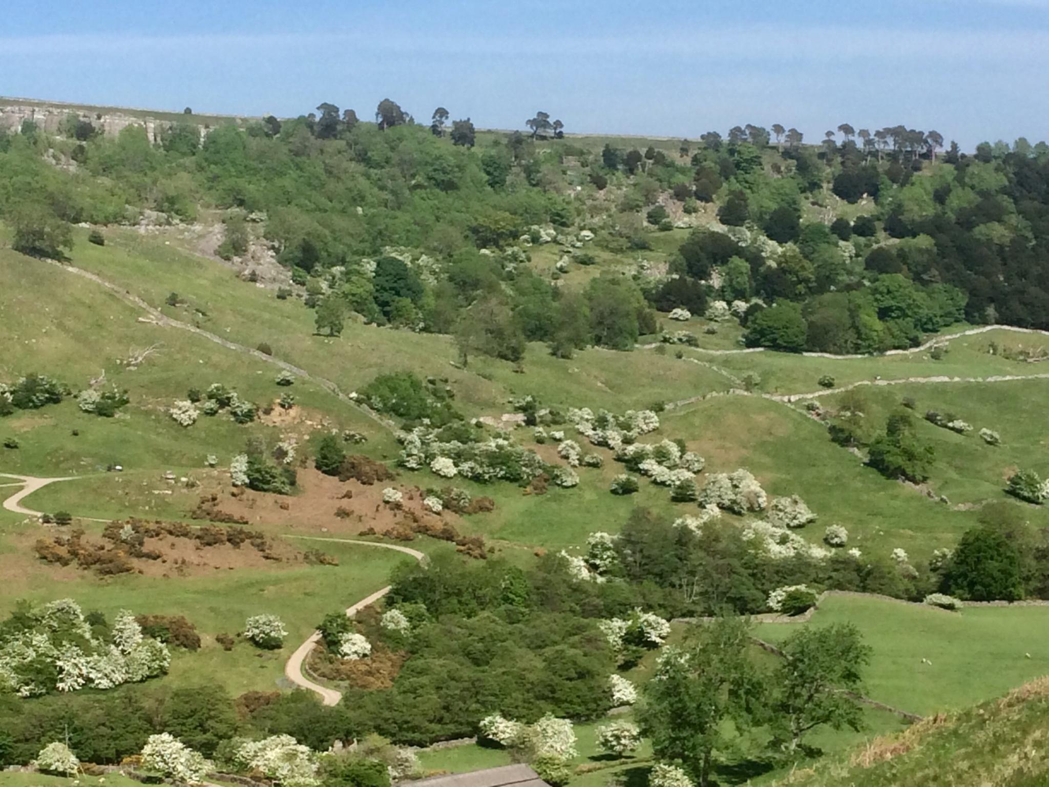 A Stunning Seven Miles from Marske