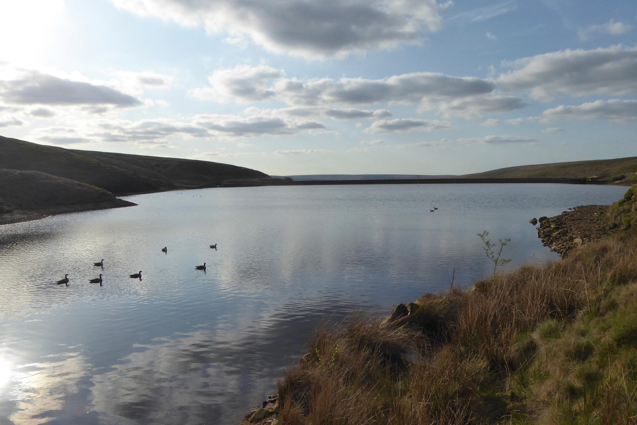 Up Black Hill and a Trudge Across the Moor
