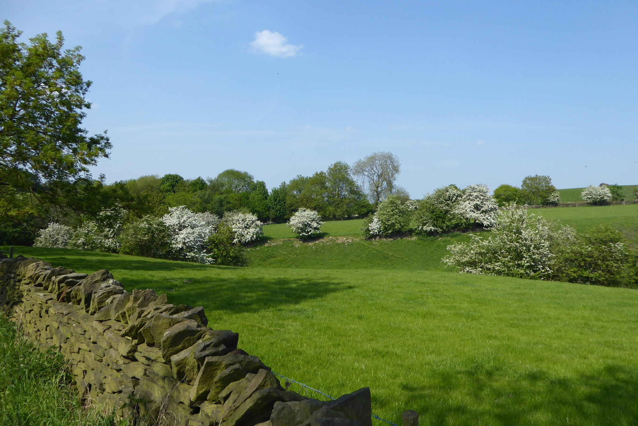 A Sunny Stroll to Hoylandswaine from Holly Tree Cottage CL