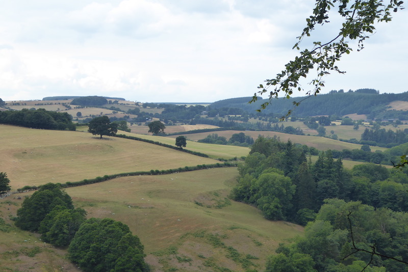 A Circuit Around the Lanes From Domo CL