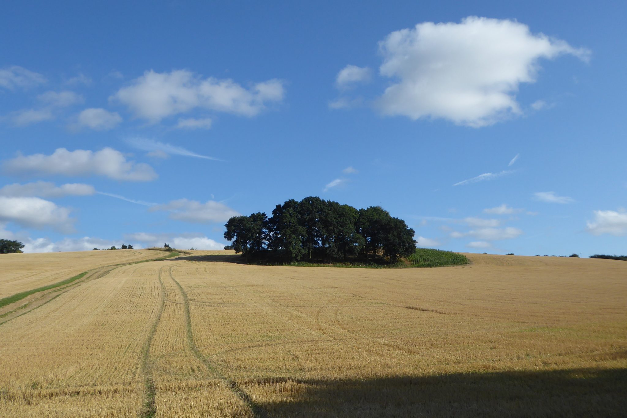 Walking to Leygrove’s Wood from Cholsey Grange