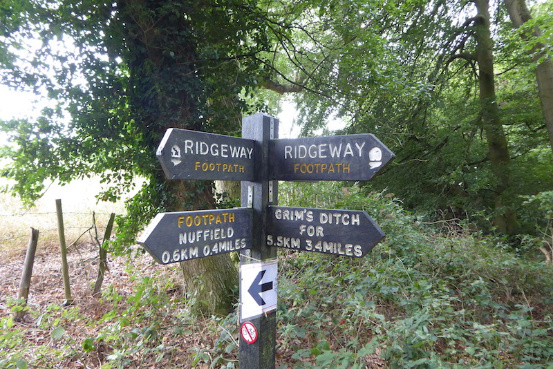 A Ten Mile Jamabout from Ewelme to Grim’s Ditch