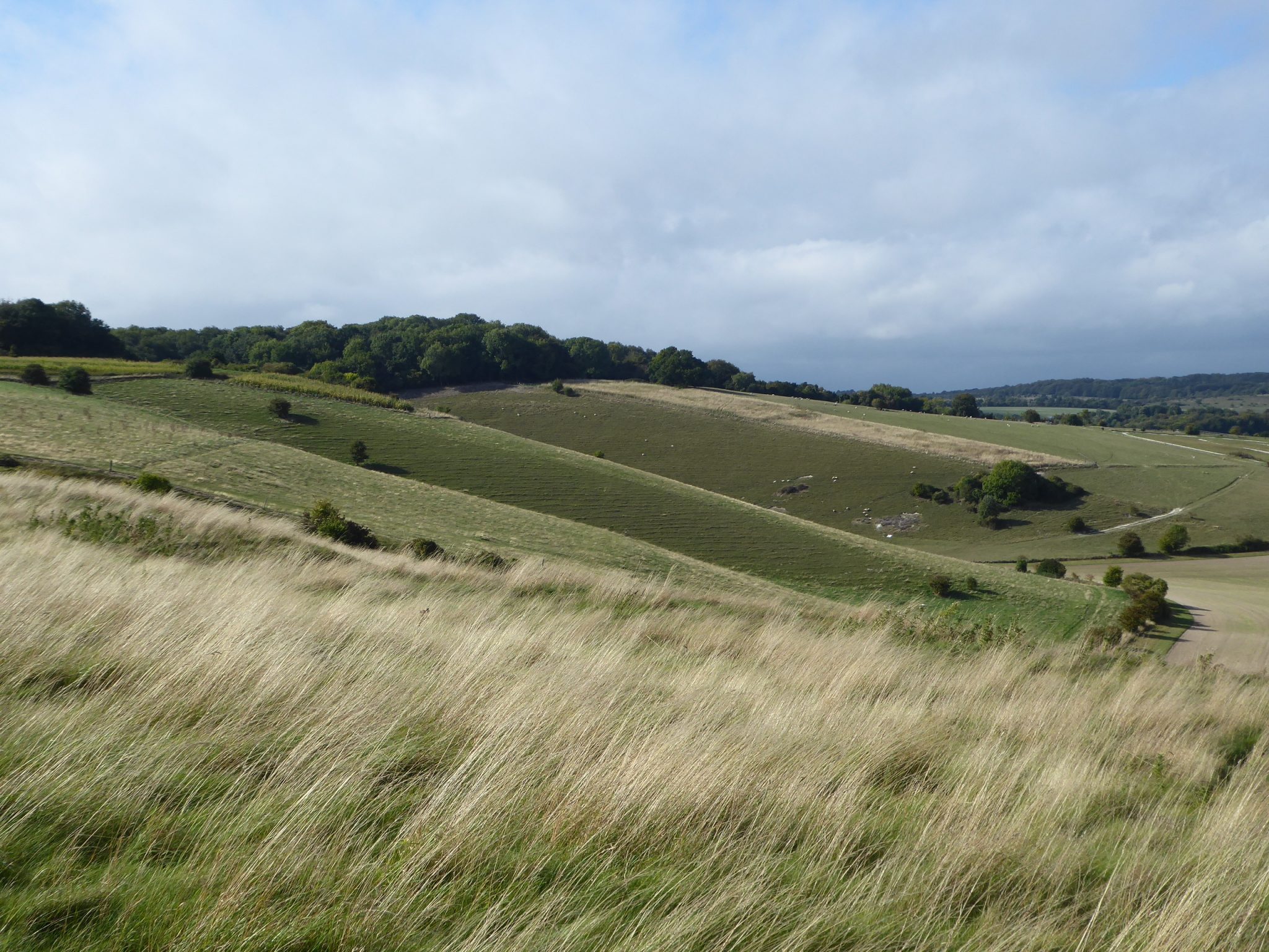 Jamming About from Pitton to Broughton Down