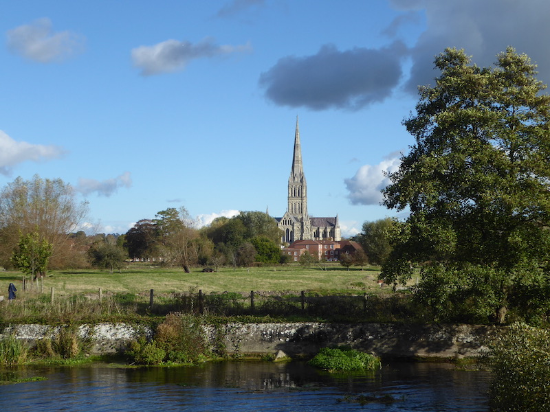 A Canter from Central Salisbury to the Racecourse
