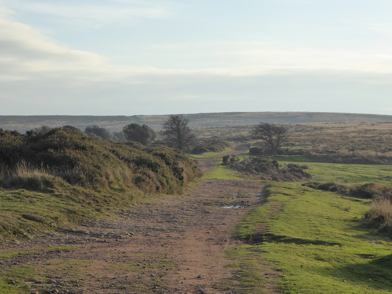 Exploring New Tracks on the Quantock Hills