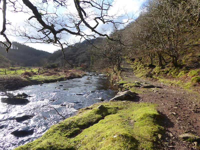 Walking in Doone Country