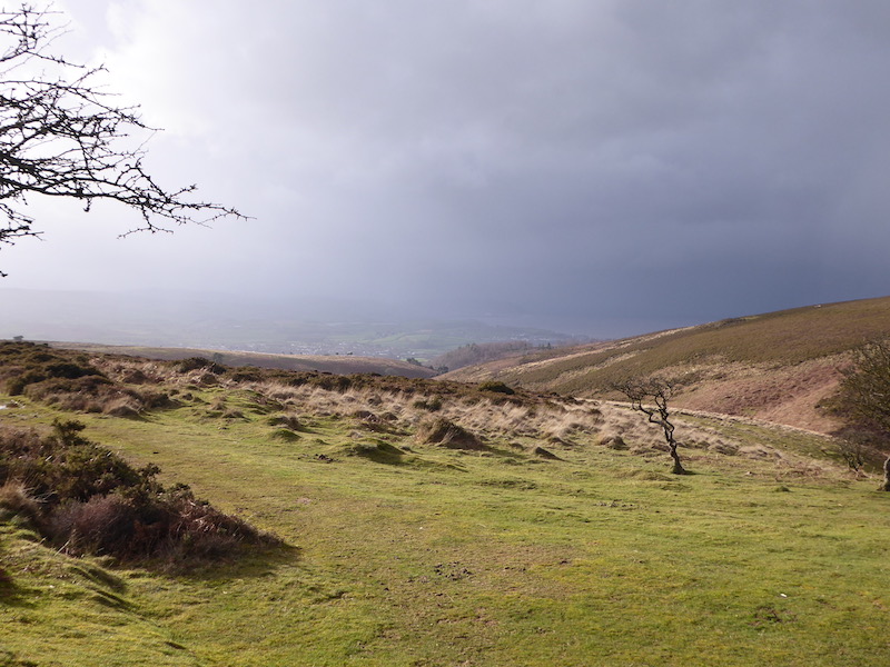 Avoiding the Storms on the Quantock Hills