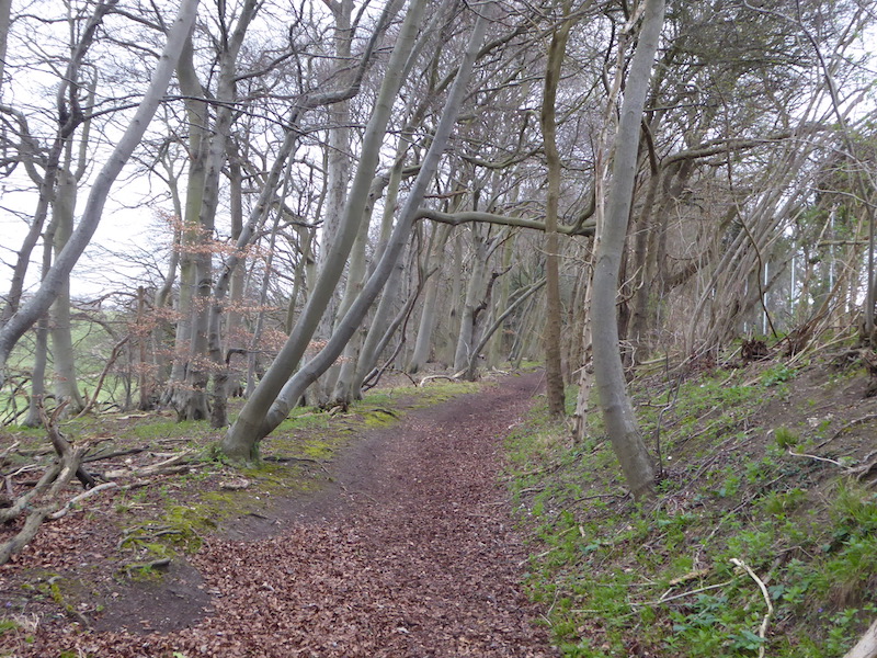 A Five Mile Jaunt From Cholsey Grange CL