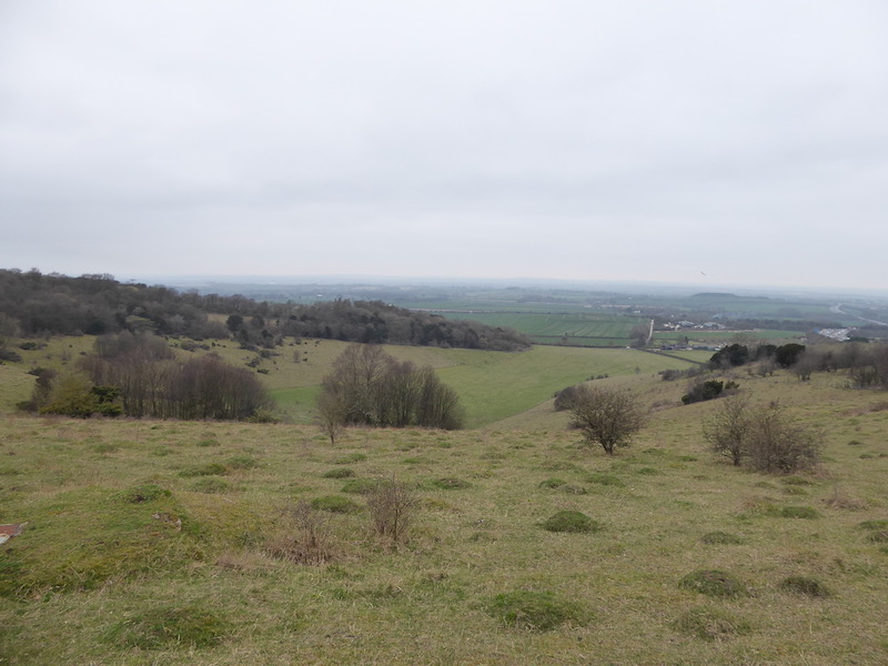 A Thirteen Mile Jamabout From Cholsey Grange CL