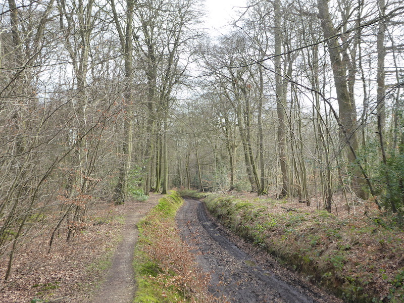 Walking New Paths From Cholsey Grange CL