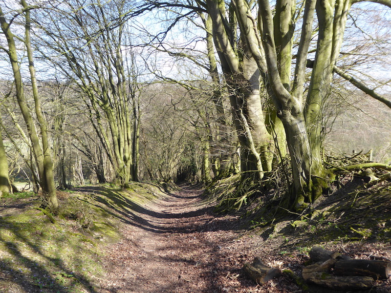 A Seven Mile Jam About in the Chiltern Hills