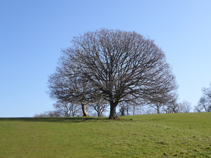A Twelve Circuit from Minehead to Dunster