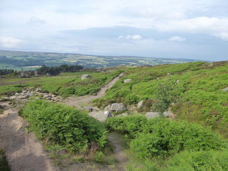 On Ilkley Moor