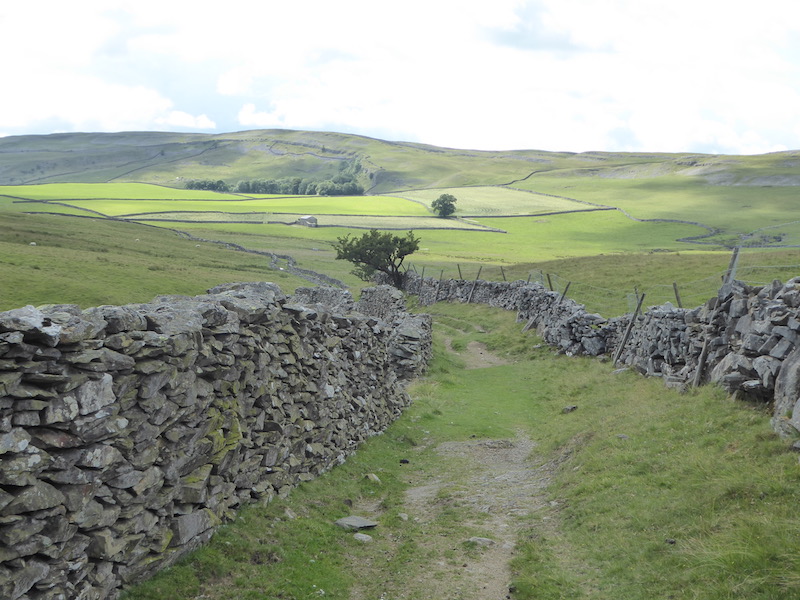 A Cracking Walk to Ingleborough and Moughton Scar