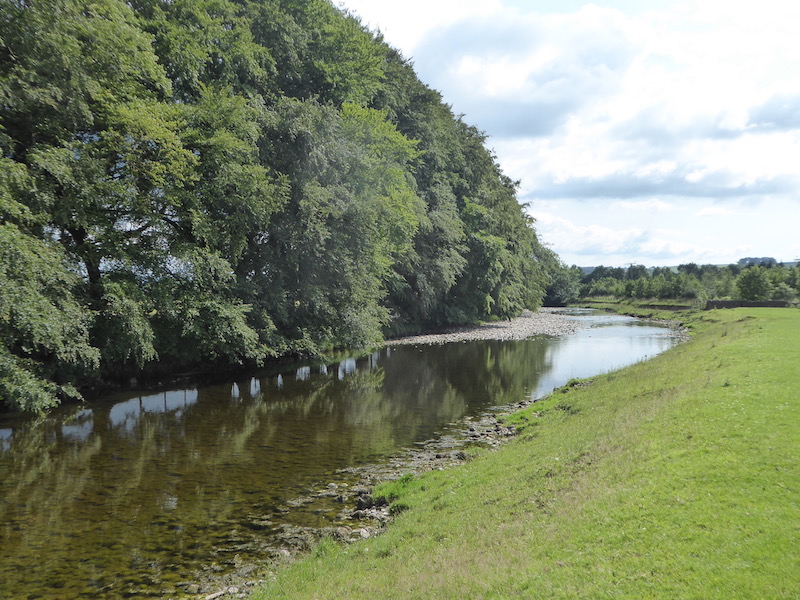 Along the Ribble Way and up to Attermire Scar